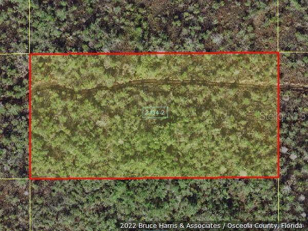 Holopaw Groves Road - Photo 1