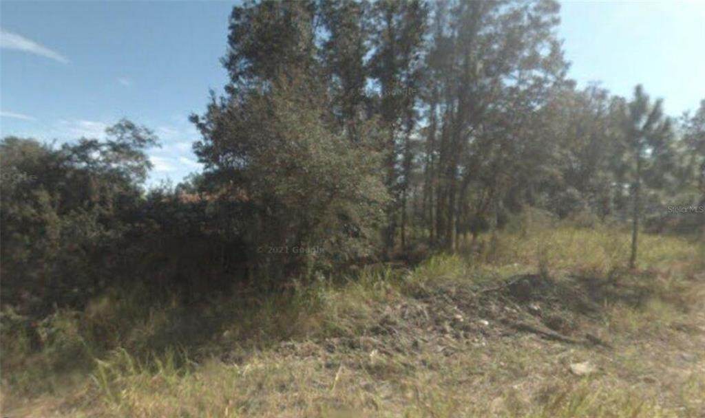 3109 Kendal Road - Photo 1