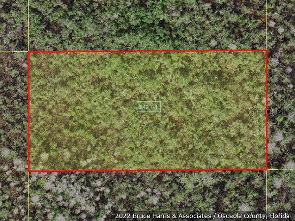 Holopaw Groves Road - Photo 1