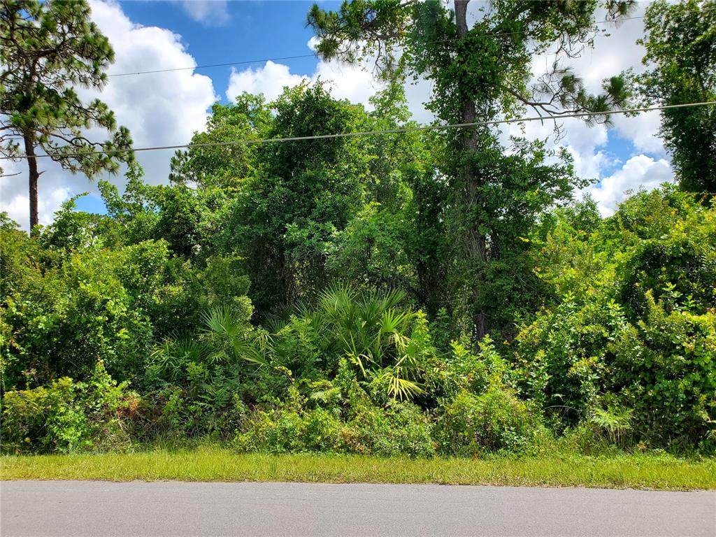 6993 Big Bend Drive - Photo 1