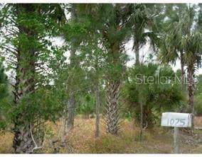1075 Osceola Road - Photo 1
