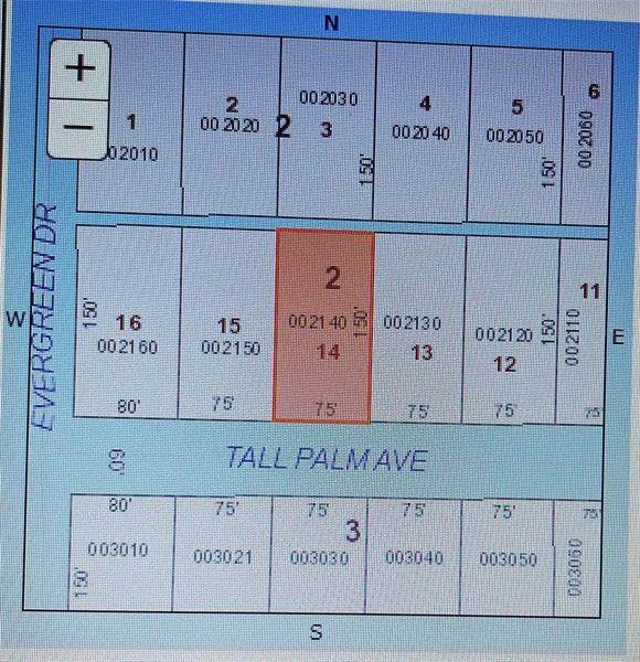Tall Palm Avenue - Photo 1