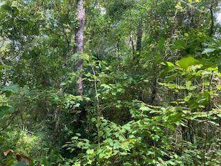 Sweetwater Trail - Photo 1