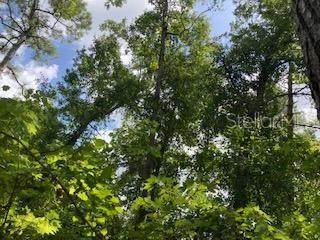 Sweetwater Trail - Photo 1