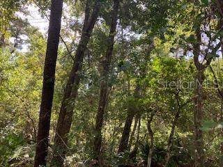 Goodman Road - Photo 1