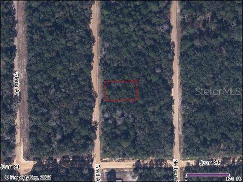 Interlachen Lake Estates - Photo 1
