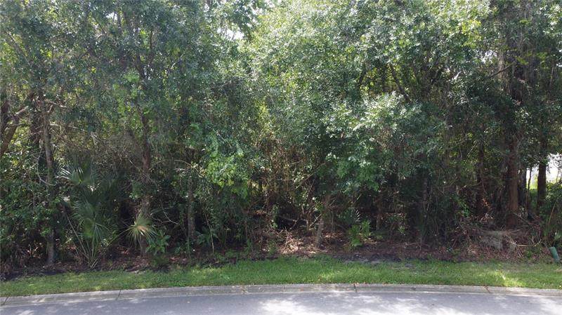 Eagle Trace Drive - Photo 1