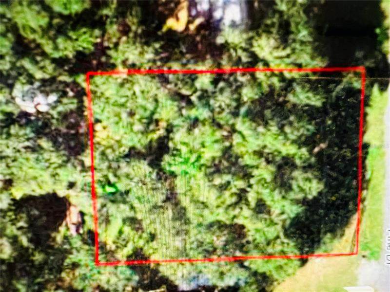Pine Drive - Photo 1
