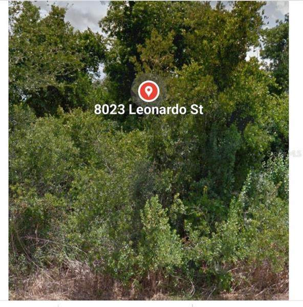 8023 Leonardo Street - Photo 1