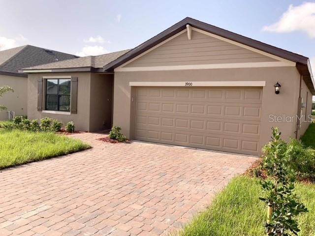 3900 Foggy Mist Road - Photo 1