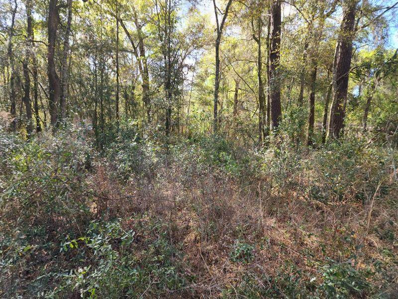 Nw 61 Ln - Photo 1