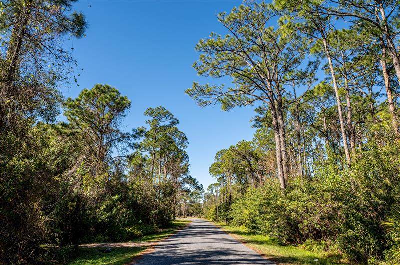 5365 Eagle Road - Photo 1