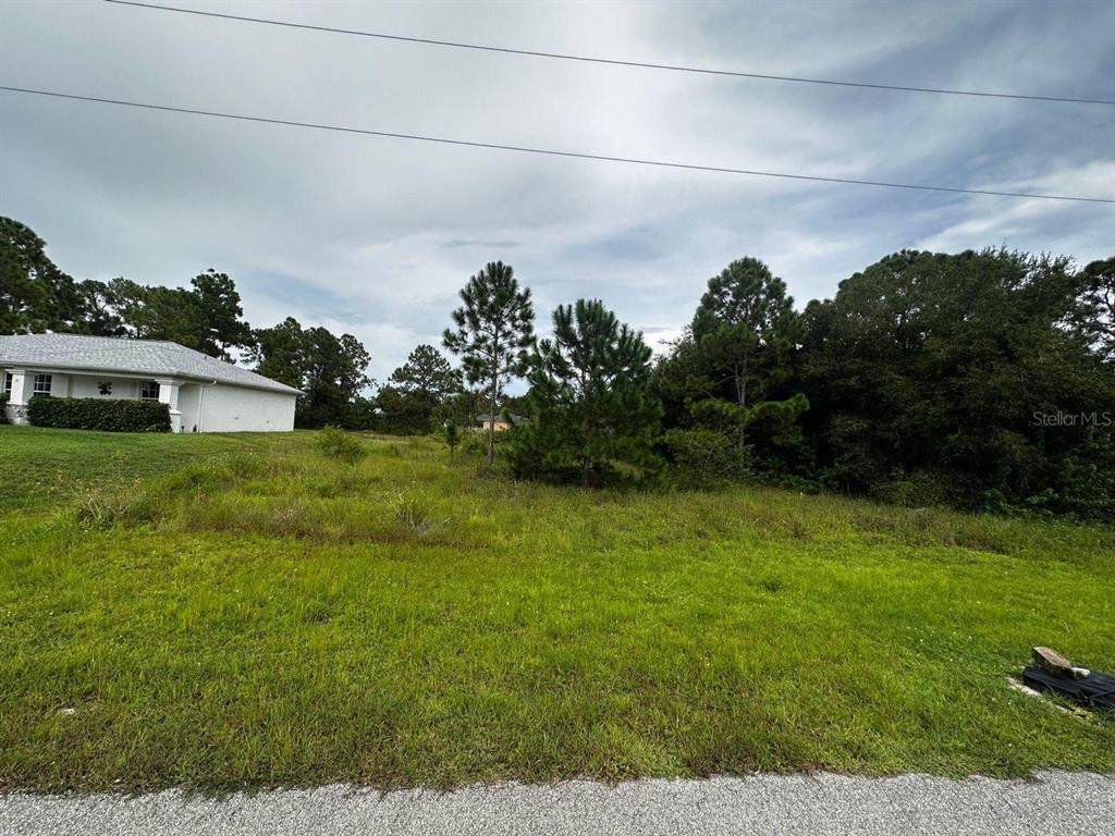 421 Majors Avenue - Photo 1