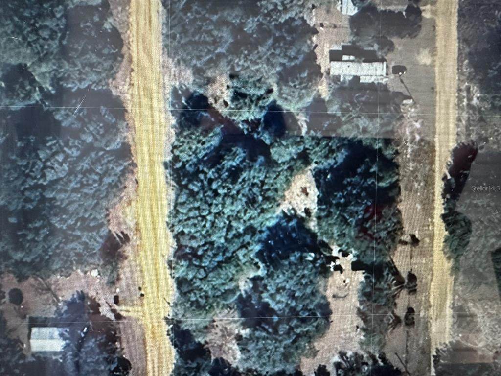 Interlachen Lakes Estates - Photo 1
