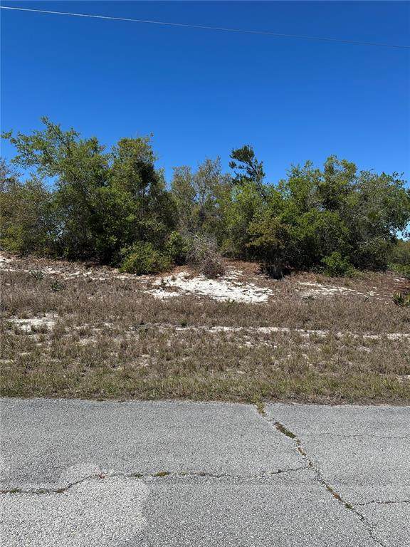1386 Homosassa Drive - Photo 1