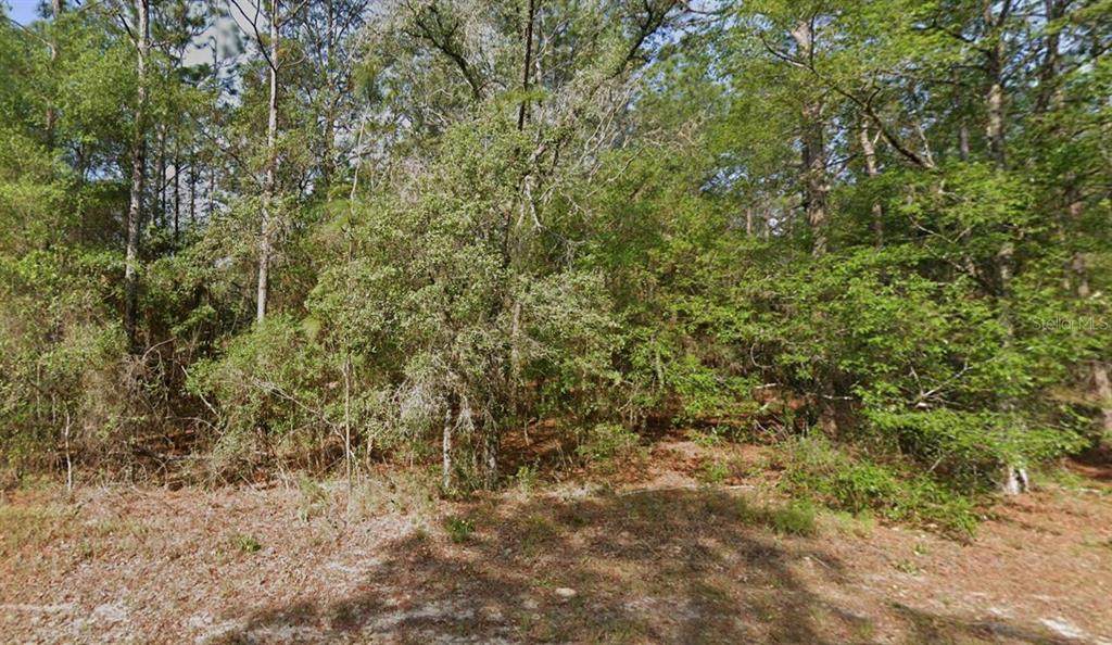 9572 Sandree Drive - Photo 1