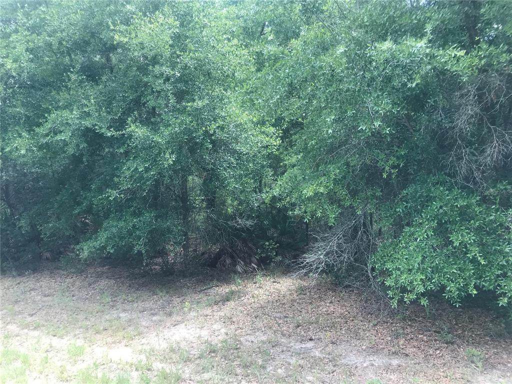 10161 Dyal Drive - Photo 1