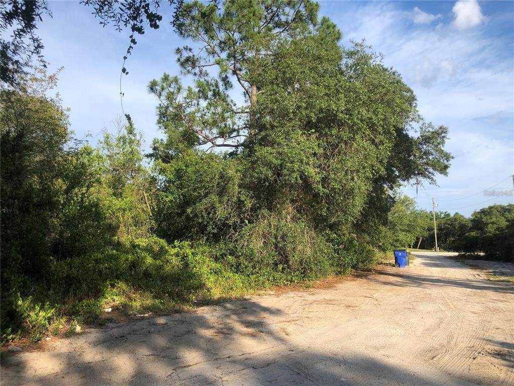 2610 Rehrer Road - Photo 1