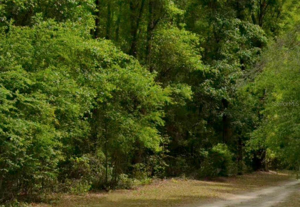 0 56TH Street - Photo 1