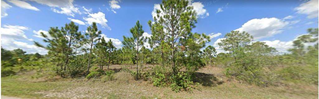 1127 Briarcliffe Street - Photo 1