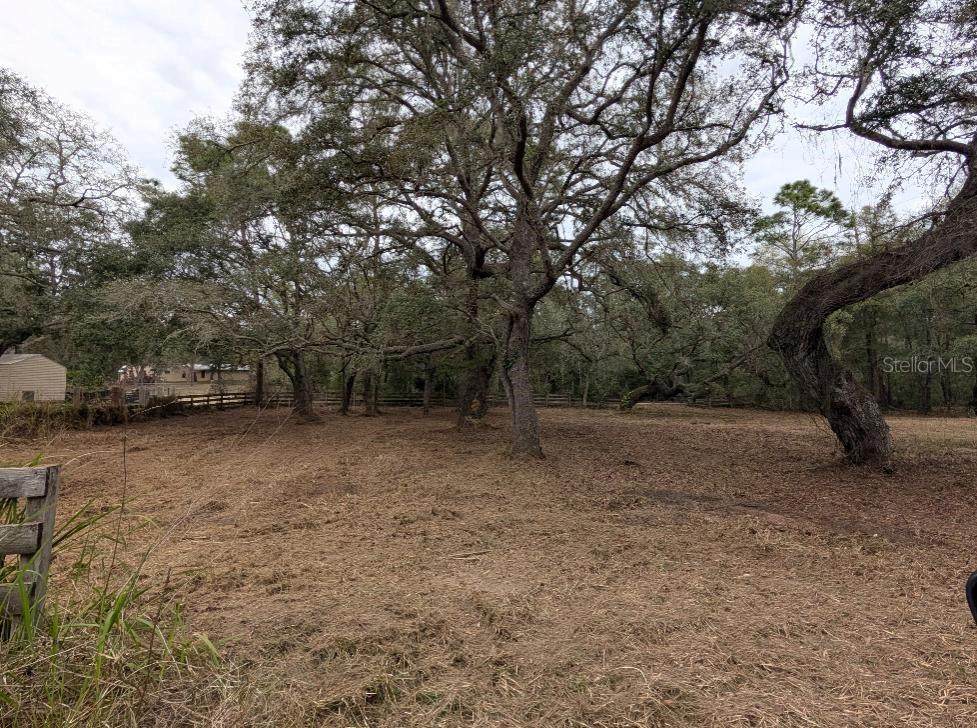 17131 280TH Terrace - Photo 1