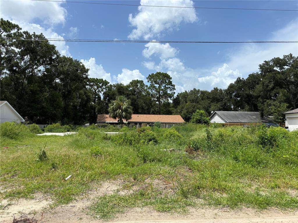 25815 Exmoor Drive - Photo 1