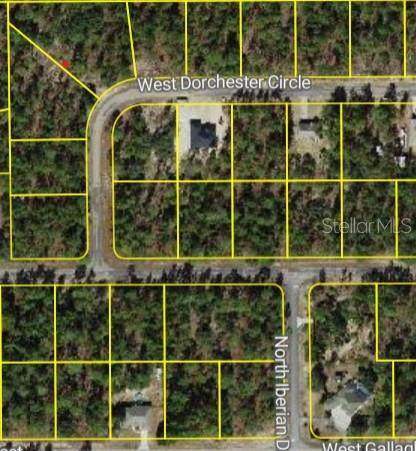 4150 Dorchester Circle - Photo 1