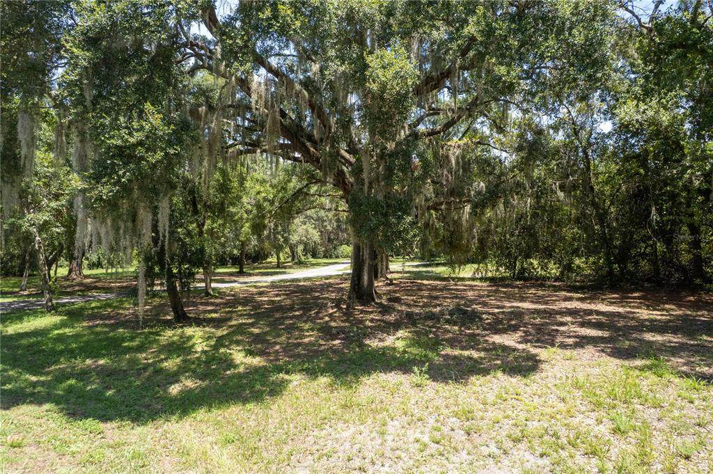 2951 Seminole Road - Photo 1