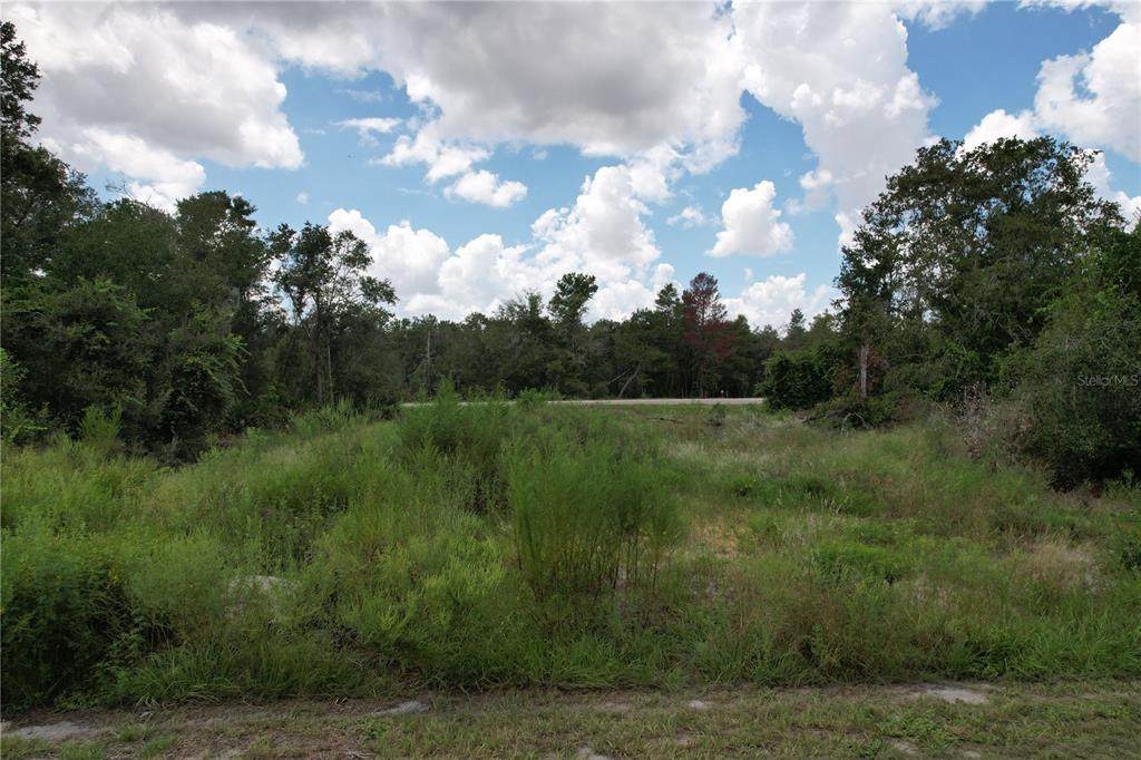 1416 Stuart Lane - Photo 1