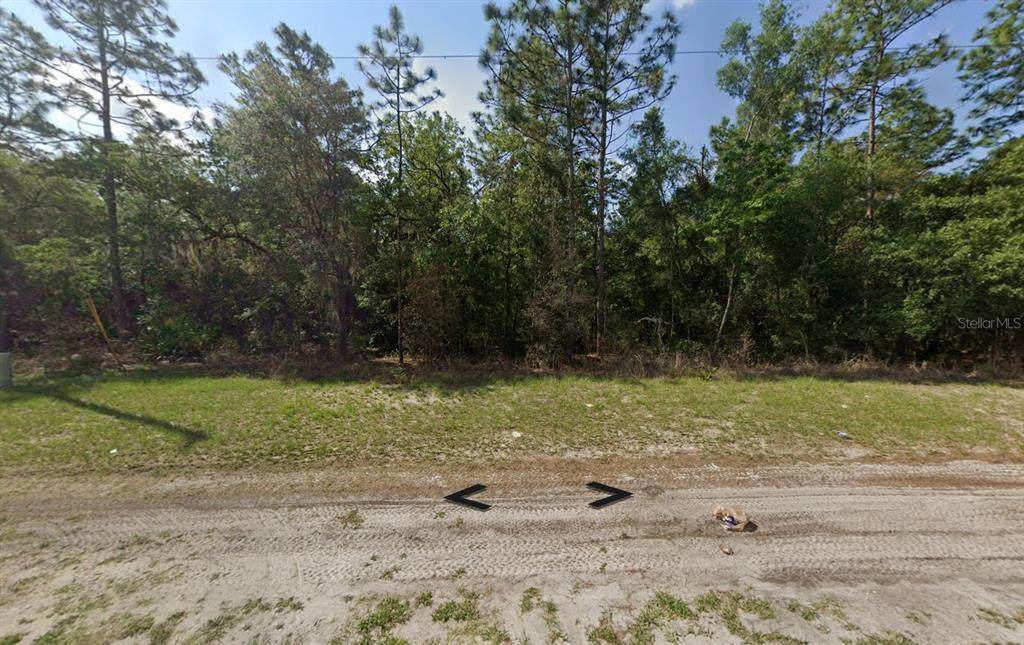  77TH AVE Road - Photo 1