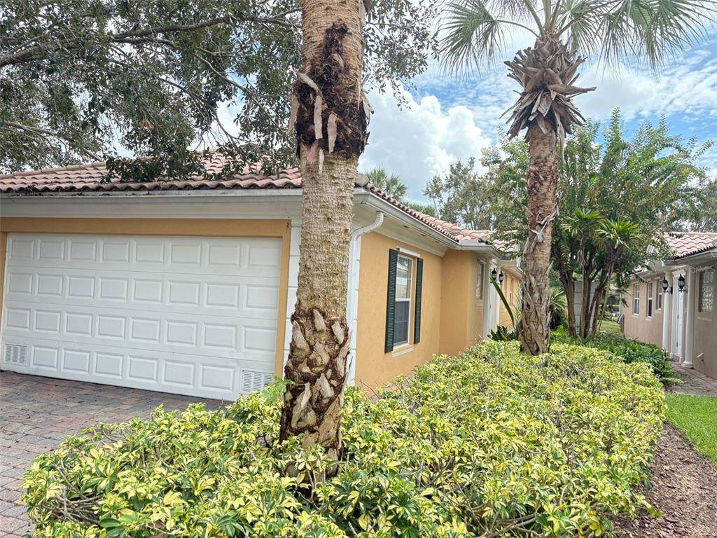 11885 Fan Tail Lane - Photo 1