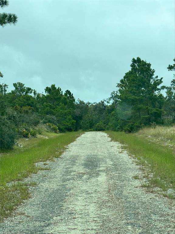 1217 & 1219 Cacao Road - Photo 1