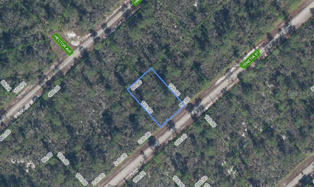 3535 Venetia Street - Photo 1