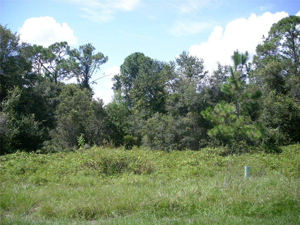 1343 Congo Court - Photo 1