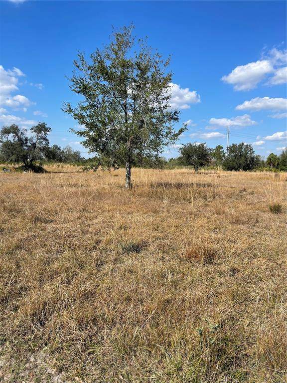  Hammermill Avenue - Photo 1