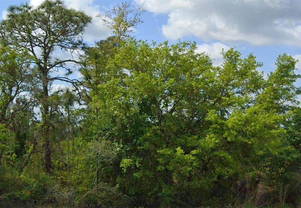 486 Kulwicki Drive - Photo 1