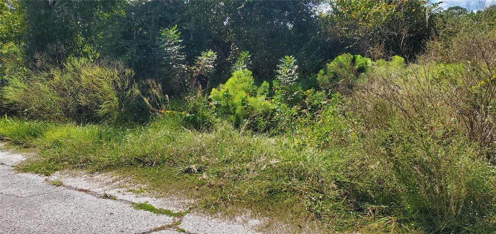  Sebring Court - Photo 1