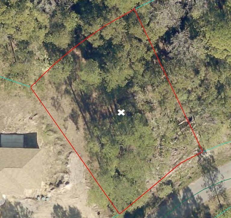  Oak Lane Way - Photo 1