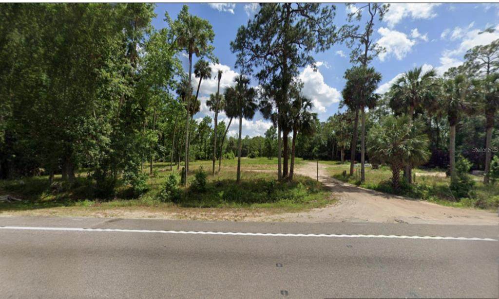 5800 Orange Blossom Trail - Photo 1
