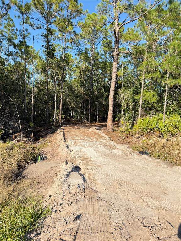  E Colonial Drive - Photo 1