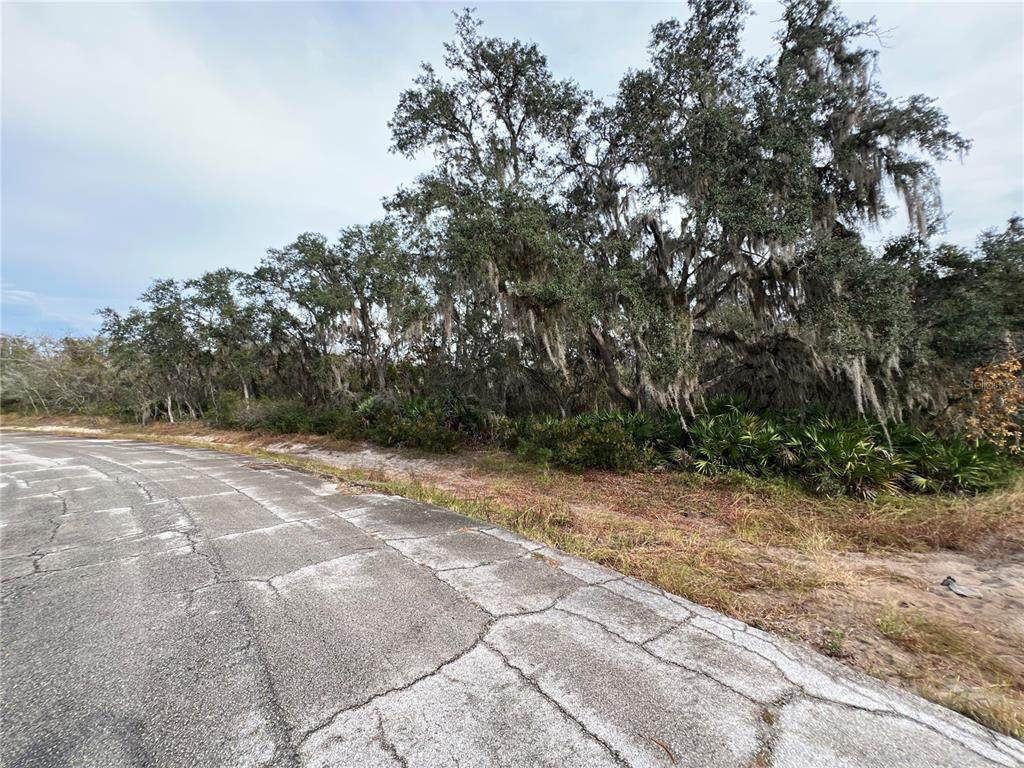 1251 Baltic Drive - Photo 1