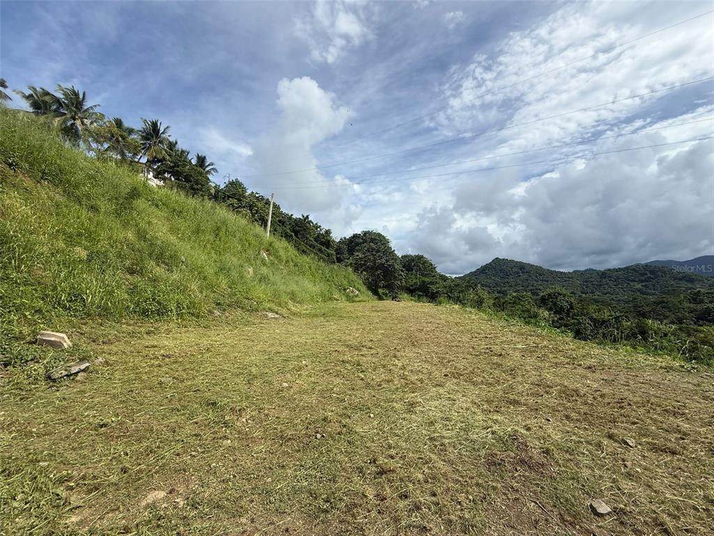  10 RAINFOREST AND SEA VIEW RESORT, - Photo 1
