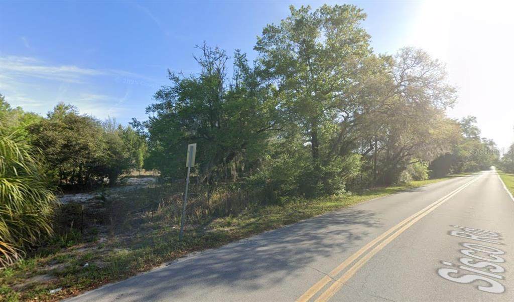 114 Sisco Road - Photo 1