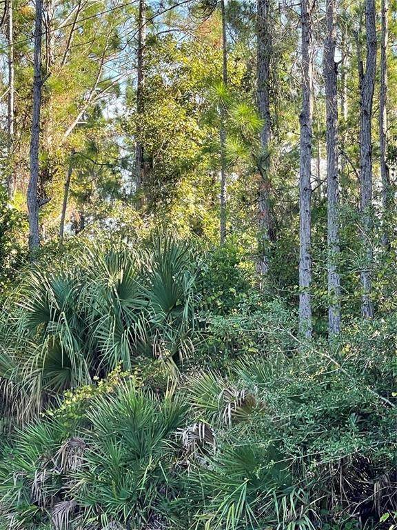  Old Train Road - Photo 1