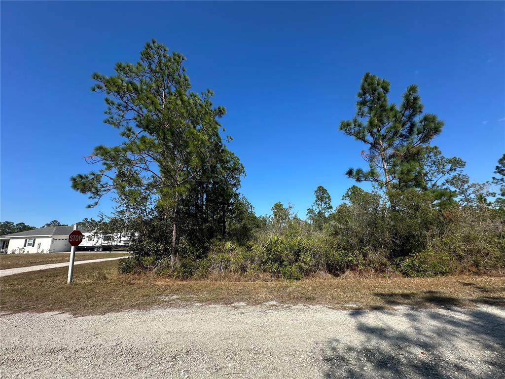 22 Bougainville Drive - Photo 1
