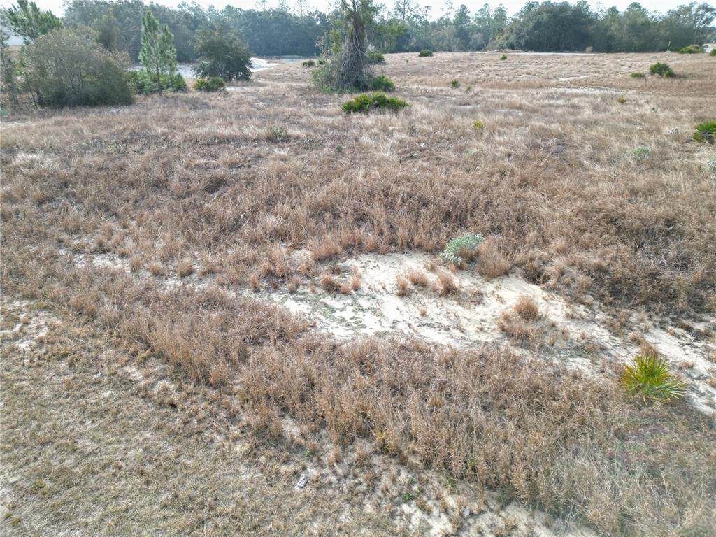 1319 Hillsborough Lane - Photo 1