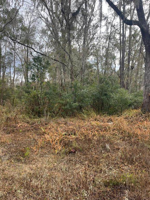  Ward Avenue - Photo 1