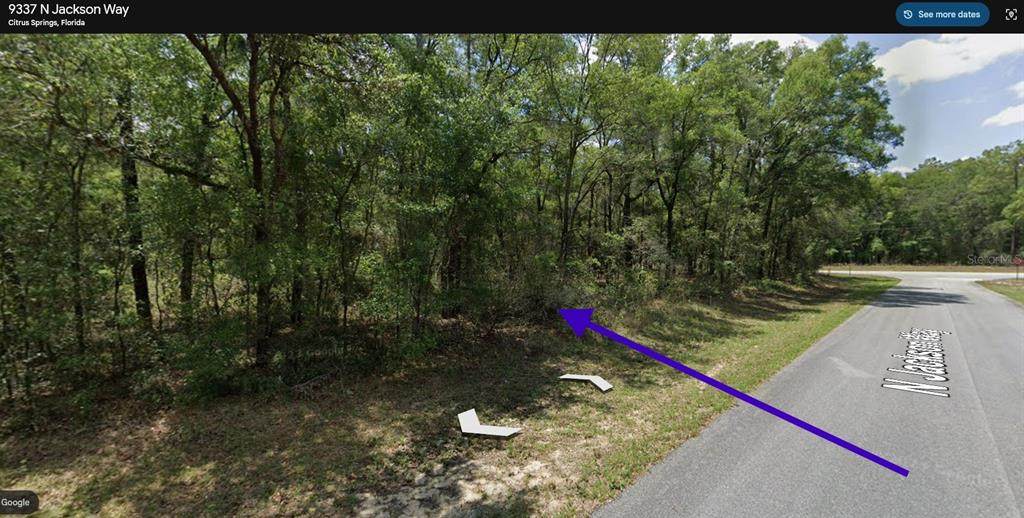 9337 Jackson Way - Photo 1