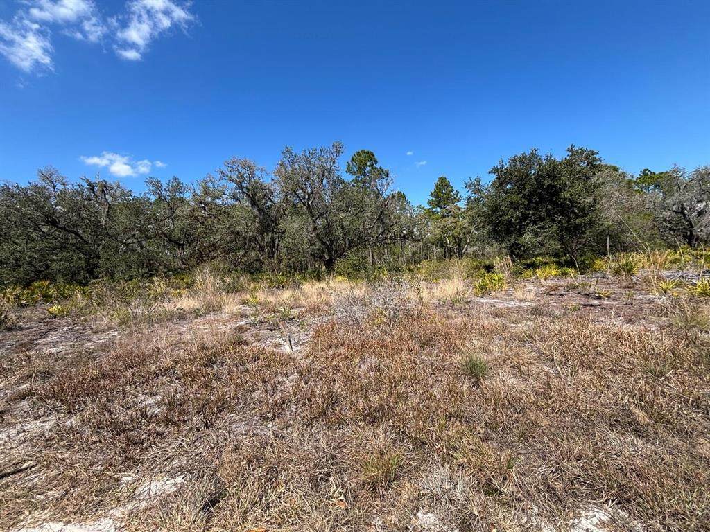 1006 Palm Avenue - Photo 1