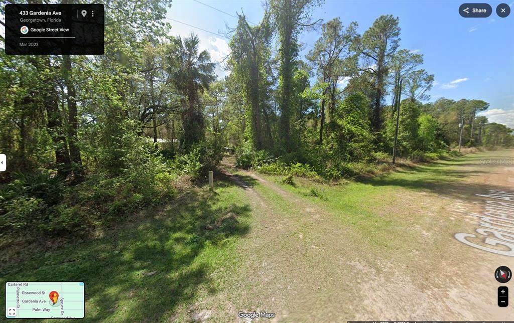 433 Gardenia Avenue - Photo 1